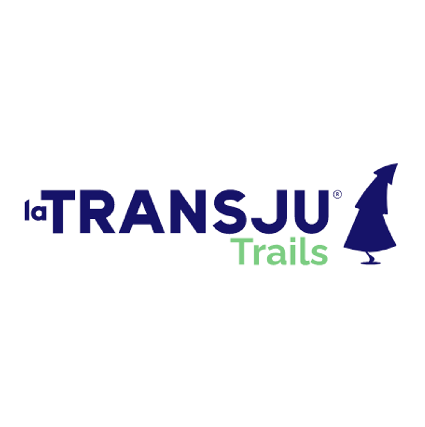 Logo TransjuTrail 2027